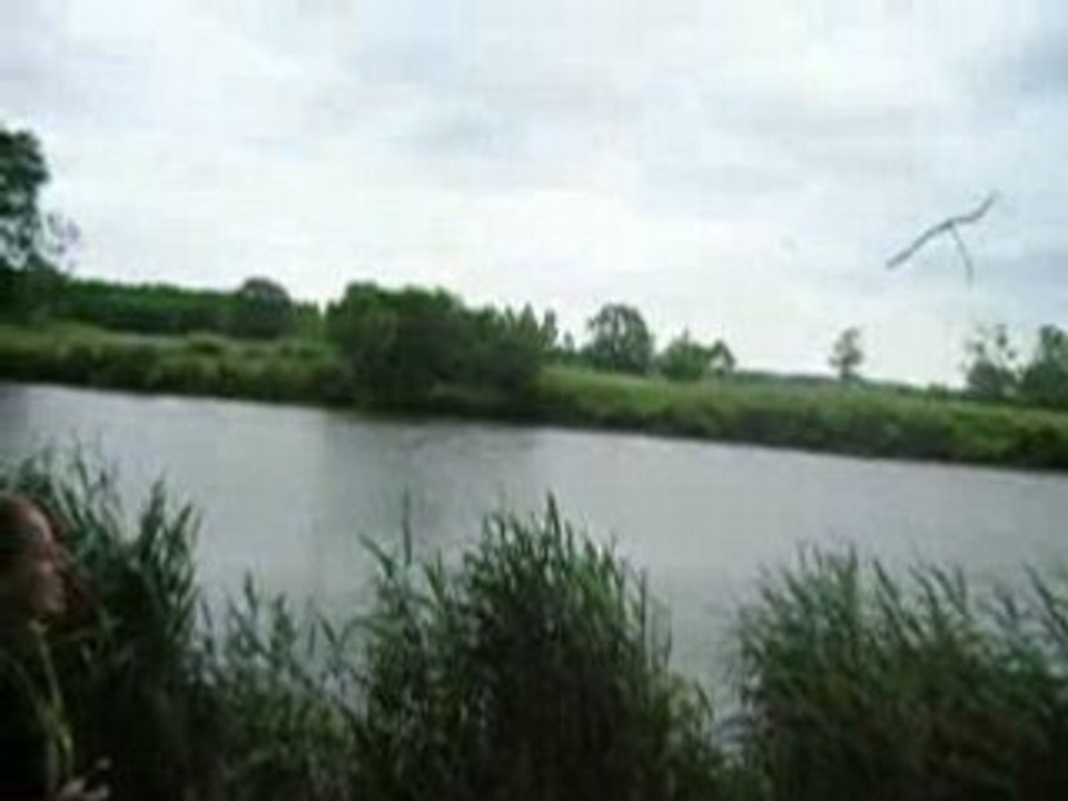 DSCN1479