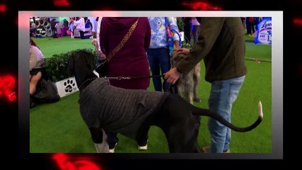 Autos y más- miércoles 16 de julio 2025