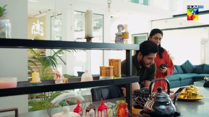 Raaja Rani - Episode 22 - 17th July 2025 [ Hina Afridi & Faysal Qureshi ] - HUM TV