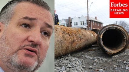 Ted Cruz Blasts 'Radicals' At Pipeline Regulator PHMSA Who 'Oppose The Existence Of Pipelines'