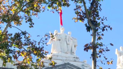 Puigdemont pide amparo al Constitucional y que se levante la orden de detención