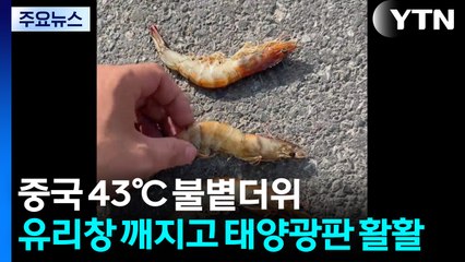 중국 43℃ 불볕더위...유리창 깨지고 태양광판 활활 / YTN