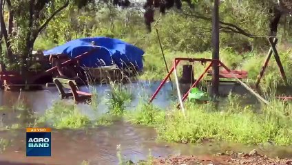 Giro Brasil: veja as principais notícias do agronegócio desta quinta-feira