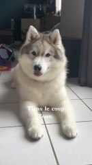 On espère que ce sera la meilleure décision pour toi Toun 🐻‍❄️…