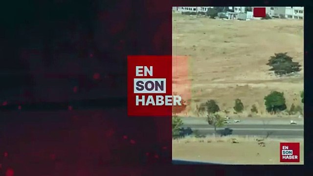 Ankara'da bir genç, başıboş köpeklerin saldırısından son anda kurtuldu