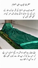 اللہ_کے_صابر_پیغمبر_حضرت_ایوب_علیہ_السلام_کی_قبر_مبارک_❤️_#reels_#shorts_#islam(360p)