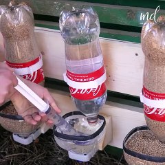 3 New ways you can build a chicken feeder! 🐤