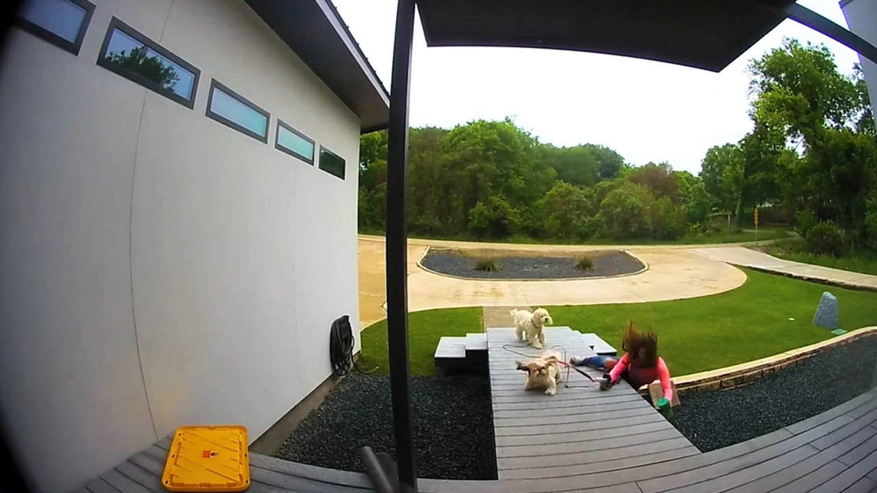 Security Cam Fails