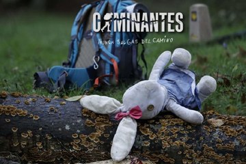 Caminantes - Trailer Oficial
