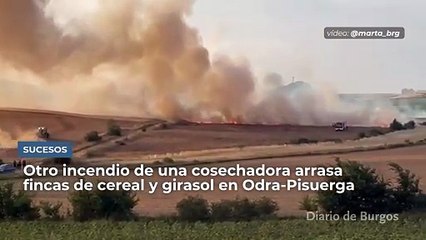Otro incendio de una cosechadora arrasa campos de cereal y girasol en la comarca burgalesa de Odra-Pisuerga