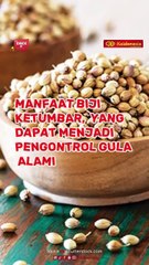 Manfaat Biji Ketumbar,  yang Dapat Menjadi Pengontrol Gula Alami