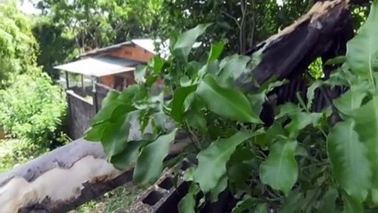 MP GONZALES PROMISES HELP FOR AROUCA WOMAN