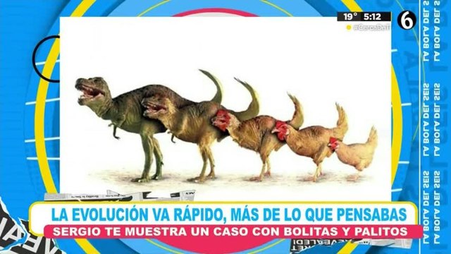 La evolución va más rapido de lo que pensabas