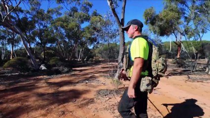 Carolina Wilga rescue turns spotlight on search for missing prospector