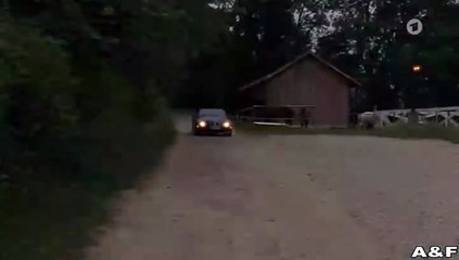 Utta Danella -01- Der schwarze Spiegel