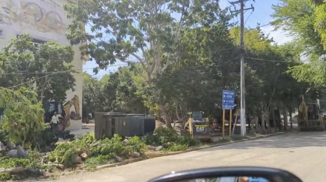 El Ministerio de la Vivienda tala cientos de árboles por remodelación en el Centro Olímpico