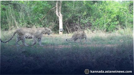 ಚಲಿಸುತ್ತಿದ್ದ ರೈಲಿನಿಂದ ಜಂಪ್ ಮಾಡಿದ ದಂಪತಿ! ತಂದೆಯ ಹುಚ್ಚಾಟ.. ಮಗಳು ಜಸ್ಟ್ ಬಚಾವ್!