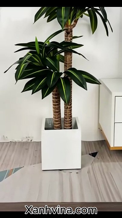 Cây thiết mộc lan giả KT 140cm _ Xanhvina