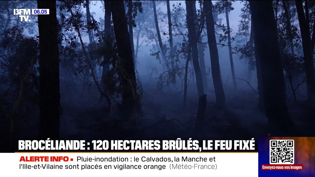 Morbihan: plus de 120 hectares brûlés par un incendie dans la forêt de Brocéliande