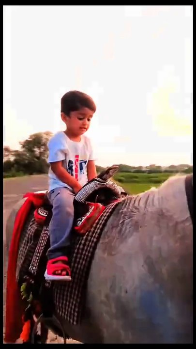 Bukhat get Horse riding