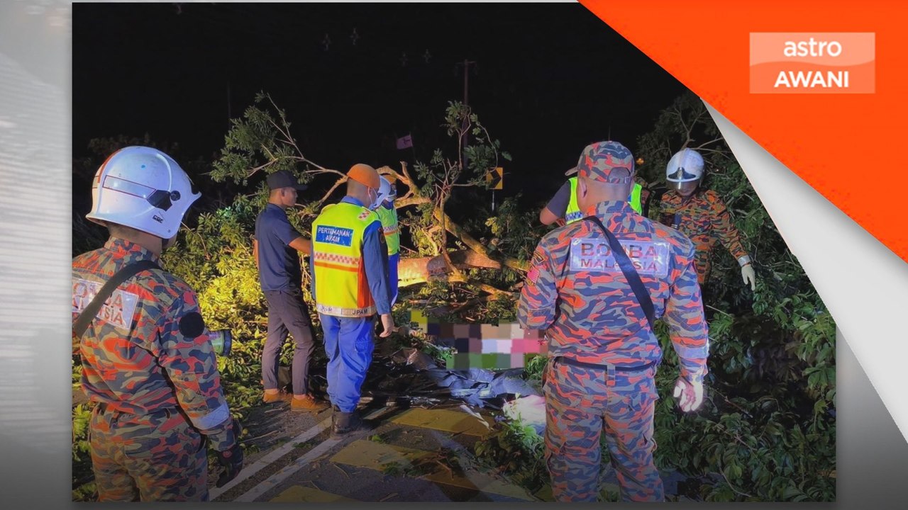 Warga Pakistan maut, 3 cedera dihempap pokok tumbang akibat ribut di Sarawak