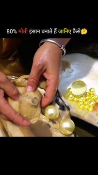 The Shocking Truth About How Pearls Are Formed#facts #amazingfacts #viral