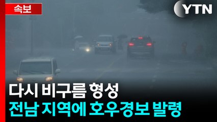 [속보] 다시 비구름 형성...전남 지역에 호우경보 발령 / YTN
