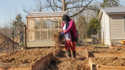 Habitations en péril
