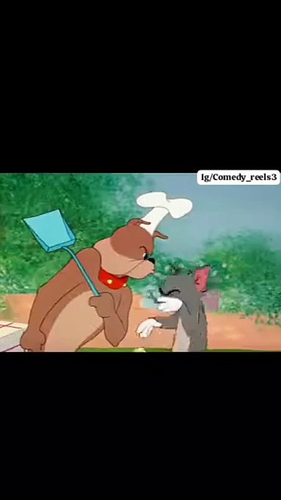 Tom and jerry