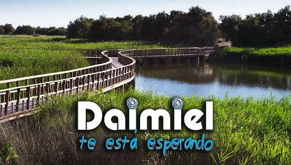 Daimiel te esta esperando - Turismo - Ayuntamiento Daimiel