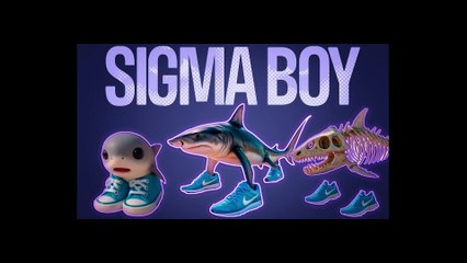 SIGMA BOY x EVOLUTION OF BRAINROT