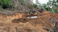Improving the Resilience of Plantation Roads with D6R XL Bulldozers