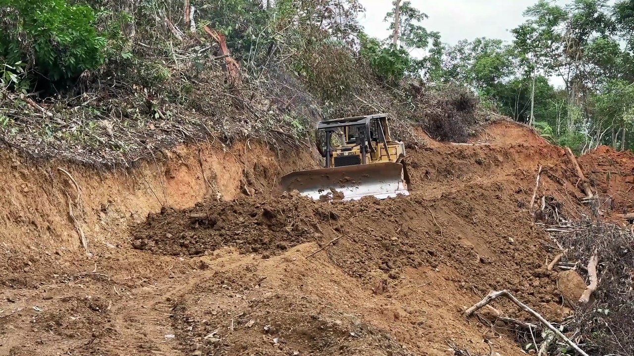 Improving the Resilience of Plantation Roads with D6R XL Bulldozers