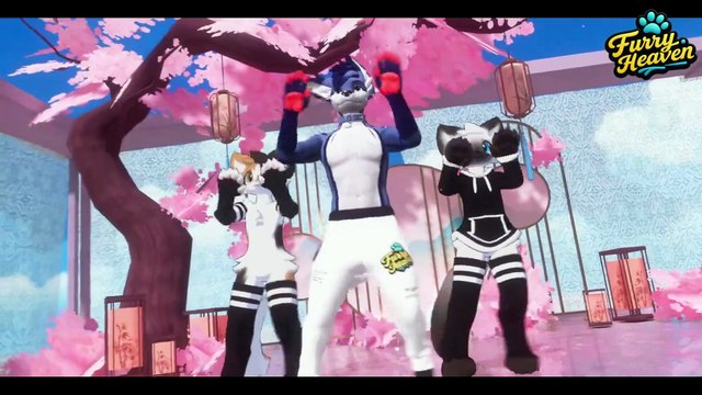 Video Samstag 19 23uhr