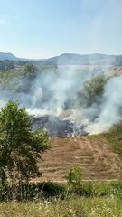 Anız yangını hızla yayıldı