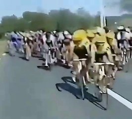 Un cheval s'incruste dans une étape du Tour de France