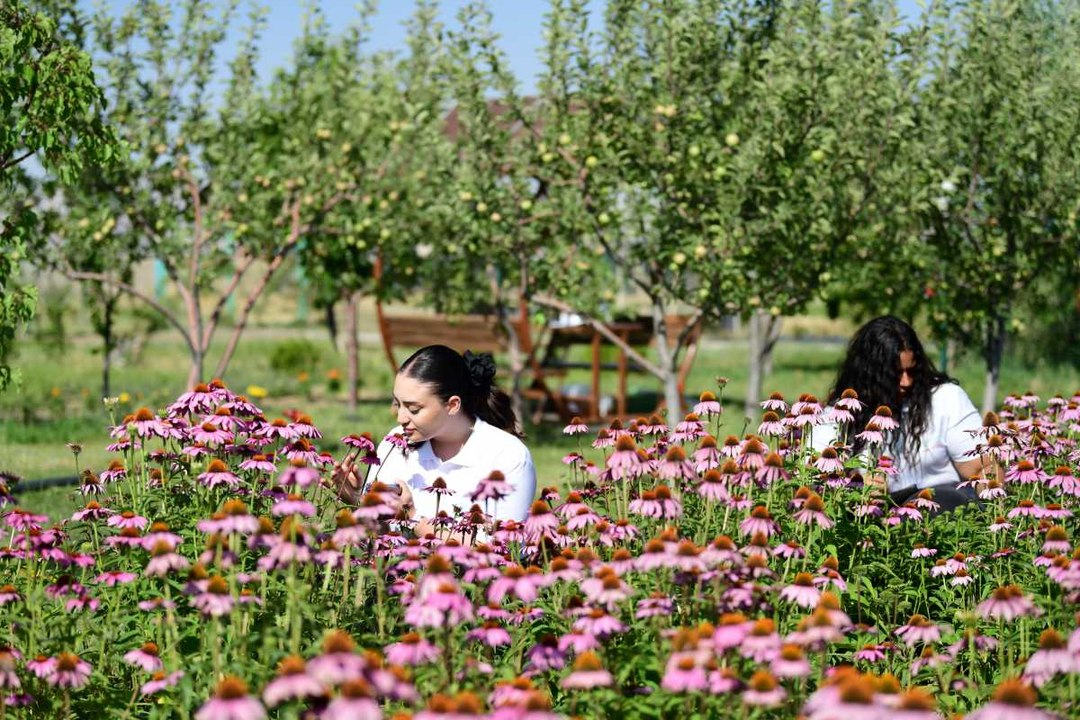 Tam eltiye görümceye göndermelik! En güzel fotoğraflar burada çekiliyor