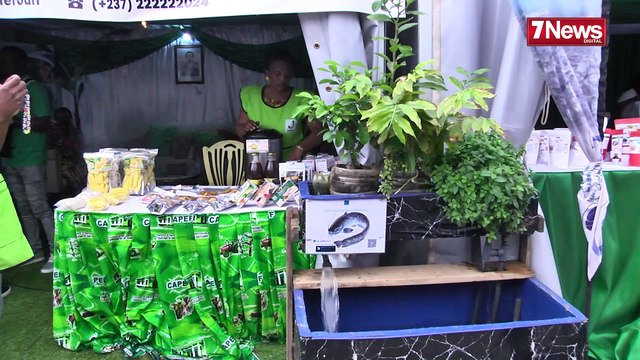 LE SAGO EST DEVENU PAUVRE EN IMAGINATION ET IDÉES NEUVES