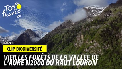 Vieilles forêts de la vallée de l'Aure N2000 du Haut Louron - Tour de France 2025