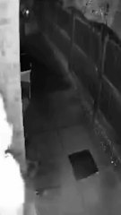 What is this 🤔🤔|| Tell me in comment box