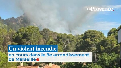 Marseille : un violent incendie en cours entre le Roy d'Espagne et Sormiou