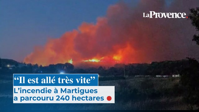 “Il est allé très vite” : l’incendie à Martigues a parcouru 240 hectares