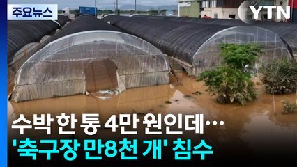 수박 한 통 4만 원인데...'축구장 만8천 개' 침수 / YTN