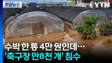수박 한 통 4만 원인데...'축구장 만8천 개' 침수 / YTN