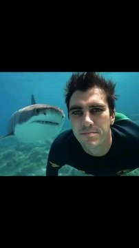 viratkohli Most popular cricketers with their famous animalistic #cricket club #indvseng #aus vs wi#sl vs ban #trendingshorts #viralvideo #dailymotion #babarazam #ipl2025 #viratkohli #music #electronicmusic