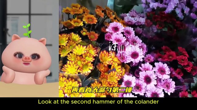 Sugar Overload! Behind-the-Scenes of Xiao Zhan’s Move & Camp Revealed✨