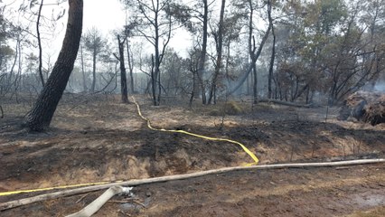 Opération des pompiers sur l'incendie en forêt de Brocéliande