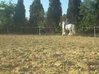 Galop-transitions