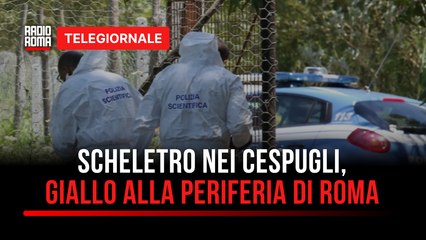 Telegiornale Roma e Lazio - Edizione delle 13:00 di Venerdì 18 Luglio 2025