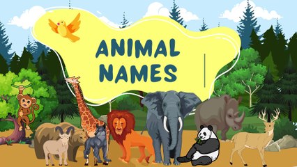 Light Blue and Green Playful Animal Names Presentation